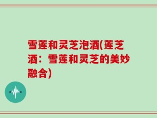 雪莲和灵芝泡酒(莲芝酒：雪莲和灵芝的美妙融合)