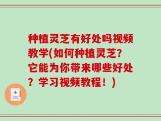 种植灵芝有好处吗视频教学(如何种植灵芝？它能为你带来哪些好处？学习视频教程！)