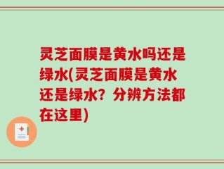 灵芝面膜是黄水吗还是绿水(灵芝面膜是黄水还是绿水？分辨方法都在这里)