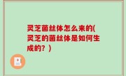 灵芝菌丝体怎么来的(灵芝的菌丝体是如何生成的？)