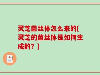 灵芝菌丝体怎么来的(灵芝的菌丝体是如何生成的？)