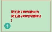 灵芝孢子粉传播途径(灵芝孢子粉的传播路径)