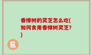 香樟树的灵芝怎么吃(如何食用香樟树灵芝？)