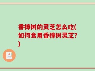 香樟树的灵芝怎么吃(如何食用香樟树灵芝？)