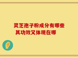 灵芝孢子粉成分有哪些 其功效又体现在哪