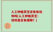 人工种植灵芝还有有功效吗(人工种植灵芝：功效是否有保障？)
