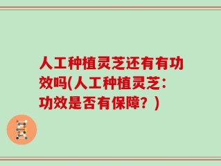 人工种植灵芝还有有功效吗(人工种植灵芝：功效是否有保障？)