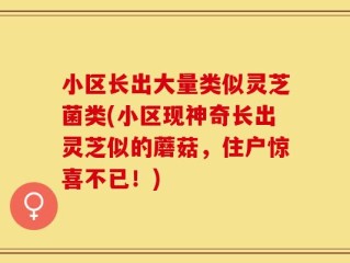 小区长出大量类似灵芝菌类(小区现神奇长出灵芝似的蘑菇，住户惊喜不已！)