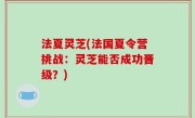 法夏灵芝(法国夏令营挑战：灵芝能否成功晋级？)