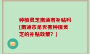 种植灵芝南通有补贴吗(南通市是否有种植灵芝的补贴政策？)
