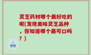 灵芝药材哪个最好吃的呢(发现美味灵芝品种，你知道哪个最可口吗？)
