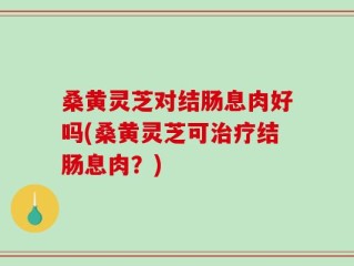 桑黄灵芝对结肠息肉好吗(桑黄灵芝可治疗结肠息肉？)