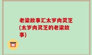 老梁故事汇太岁肉灵芝(太岁肉灵芝的老梁故事)