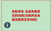 石斛丹生 头菇天麻灵芝的功效(石斛丹生头菇天麻灵芝多功效)