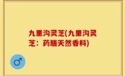 九里沟灵芝(九里沟灵芝：药膳天然香料)