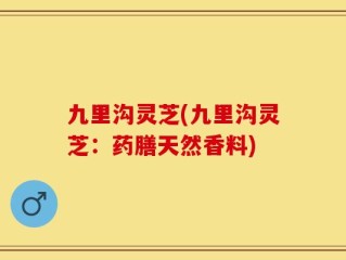 九里沟灵芝(九里沟灵芝：药膳天然香料)