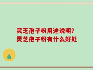 灵芝孢子粉用途说明？灵芝孢子粉有什么好处