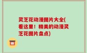 灵芝花动漫图片大全(看这里！精美的动漫灵芝花图片盘点)