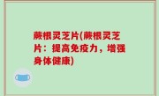 蕨根灵芝片(蕨根灵芝片：提高免疫力，增强身体健康)
