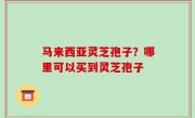 马来西亚灵芝孢子？哪里可以买到灵芝孢子