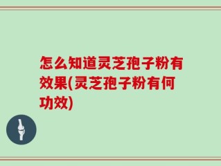 怎么知道灵芝孢子粉有效果(灵芝孢子粉有何功效)