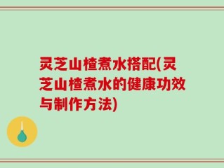灵芝山楂煮水搭配(灵芝山楂煮水的健康功效与制作方法)