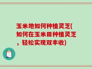 玉米地如何种植灵芝(如何在玉米田种植灵芝，轻松实现双丰收)