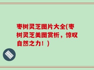 枣树灵芝图片大全(枣树灵芝美图赏析，惊叹自然之力！)