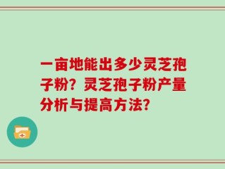 一亩地能出多少灵芝孢子粉？灵芝孢子粉产量分析与提高方法？