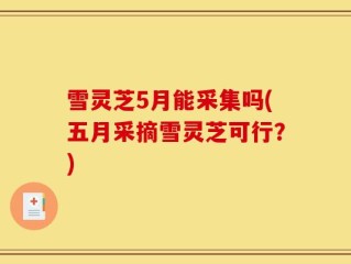雪灵芝5月能采集吗(五月采摘雪灵芝可行？)