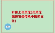 石像上长灵芝(长灵芝镶嵌石像传承中医药文化)
