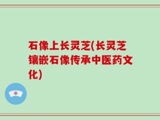 石像上长灵芝(长灵芝镶嵌石像传承中医药文化)