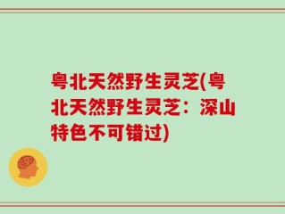 粤北天然野生灵芝(粤北天然野生灵芝：深山特色不可错过)