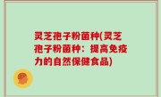 灵芝孢子粉菌种(灵芝孢子粉菌种：提高免疫力的自然保健食品)