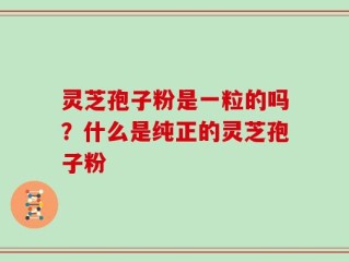 灵芝孢子粉是一粒的吗？什么是纯正的灵芝孢子粉