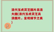 清代玉虎灵芝图片高清大图(清代玉虎灵芝高清图片，呈现细节之美)