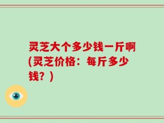 灵芝大个多少钱一斤啊(灵芝价格：每斤多少钱？)