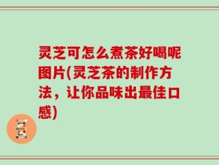 灵芝可怎么煮茶好喝呢图片(灵芝茶的制作方法，让你品味出最佳口感)