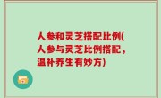人参和灵芝搭配比例(人参与灵芝比例搭配，温补养生有妙方)