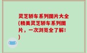 灵芝轿车系列图片大全(精美灵芝轿车系列图片，一次浏览全了解！)