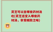 灵芝可以坐哪些药材汤吃(灵芝适宜入哪些药材汤，享受精致之味)