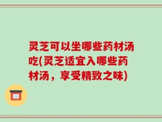 灵芝可以坐哪些药材汤吃(灵芝适宜入哪些药材汤，享受精致之味)