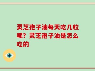 灵芝孢子油每天吃几粒呢？灵芝孢子油是怎么吃的