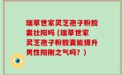瑞草世家灵芝孢子粉胶囊壮阳吗 (瑞草世家灵芝孢子粉胶囊能提升男性阳刚之气吗？)