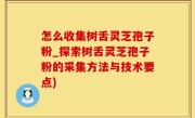 怎么收集树舌灵芝孢子粉_探索树舌灵芝孢子粉的采集方法与技术要点)