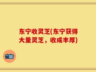 东宁收灵芝(东宁获得大量灵芝，收成丰厚)