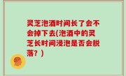 灵芝泡酒时间长了会不会掉下去(泡酒中的灵芝长时间浸泡是否会脱落？)