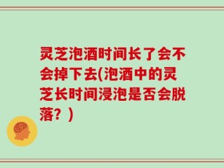 灵芝泡酒时间长了会不会掉下去(泡酒中的灵芝长时间浸泡是否会脱落？)