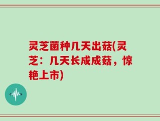 灵芝菌种几天出菇(灵芝：几天长成成菇，惊艳上市)