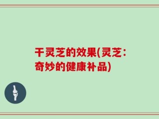 干灵芝的效果(灵芝：奇妙的健康补品)